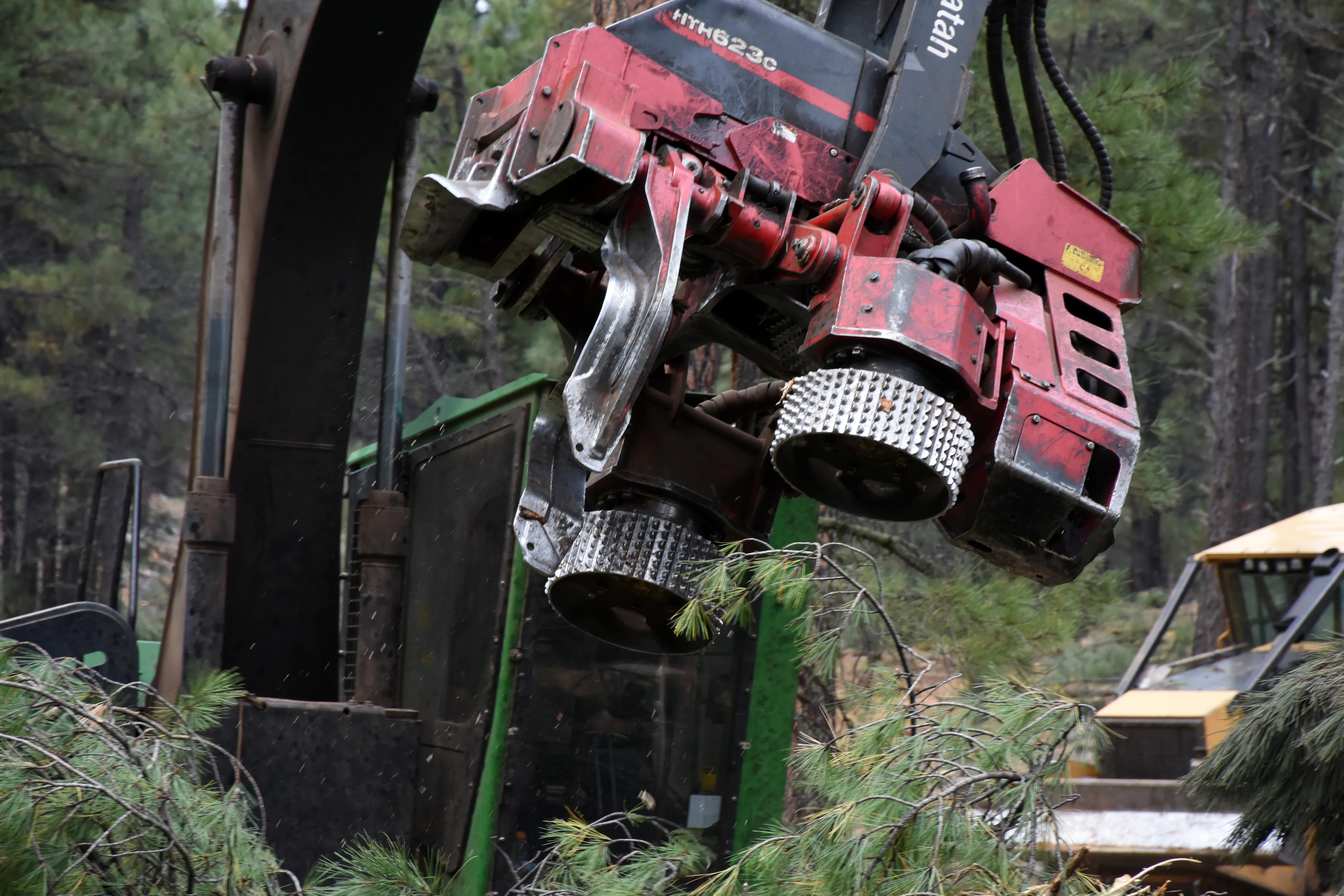 A forestry machine processing head with feed rollers and delimbing blades in a forest