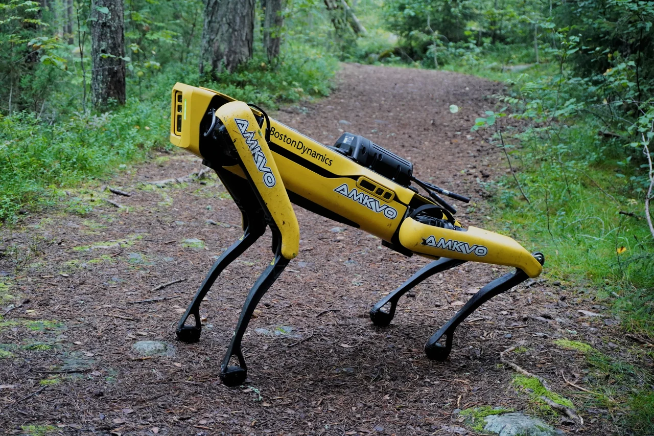 Boston Dynamics Spot quadruped robot on a wooded path